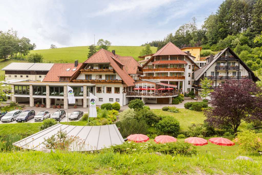 Naturparkhotel Adler Wolfach Exterior photo